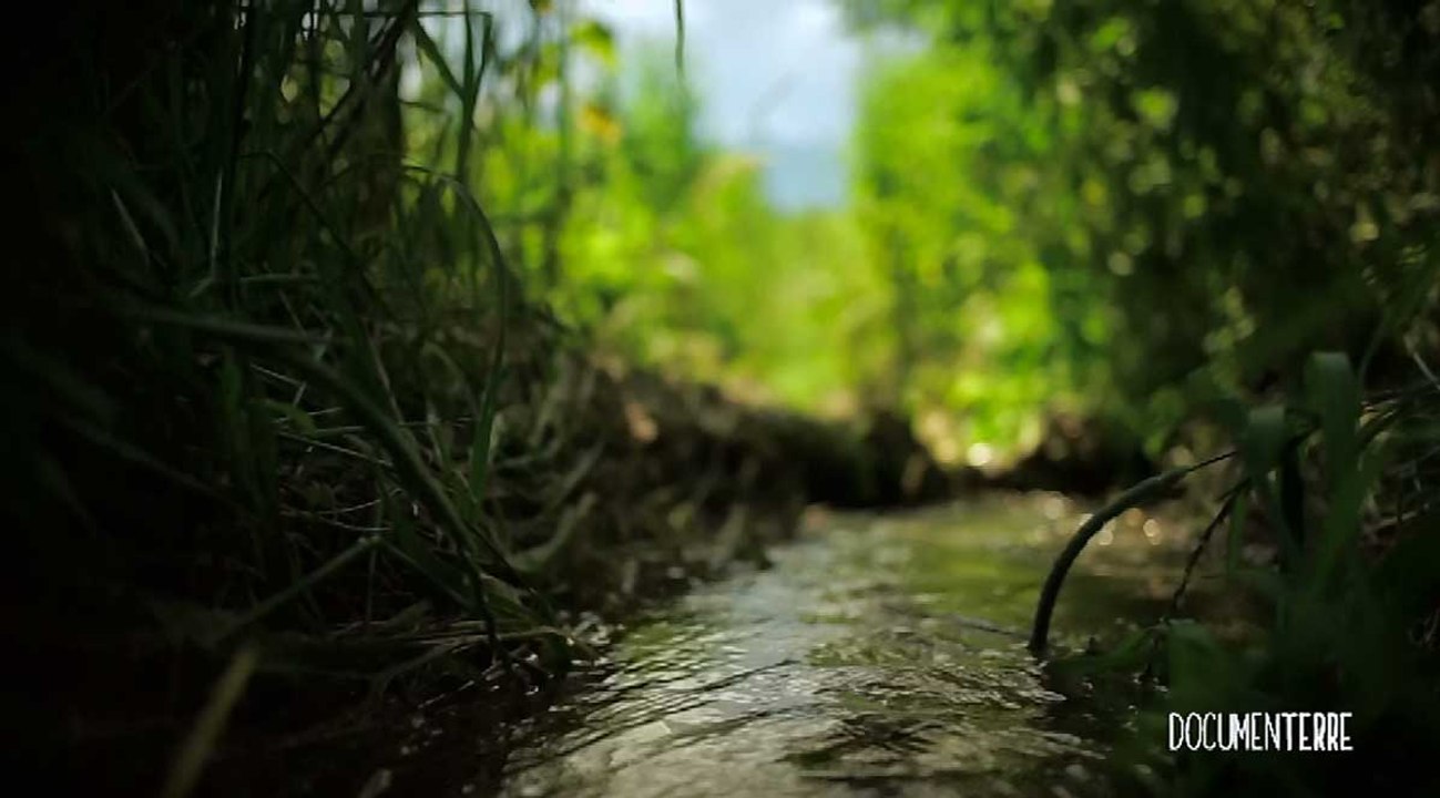 Documenterre – La compétence GEMAPI