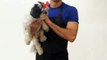 Ladybird Line Inc – Pet Grooming Apparel - Dog Groomers Apparel - Pro Salon Rhinestone Apron