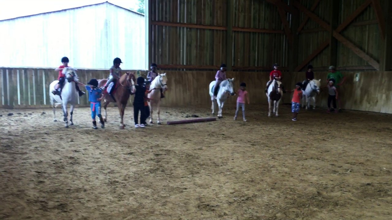 mini camp d'HUISY - thème " le poney"