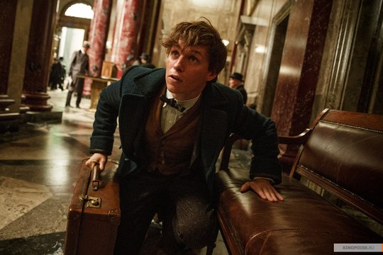 Фантастические твари и где они обитают / Fantastic Beasts and Where to Find Them 2016 - русский трейлер