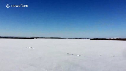 Hare bursts out of snow burrow