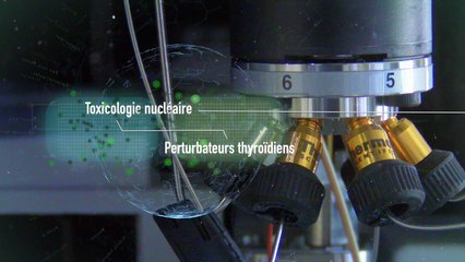 De la recherche fondamentale sur la thyroïde appliquée à la santé