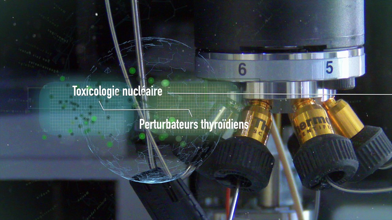 De la recherche fondamentale sur la thyroïde appliquée à la santé