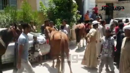 "موقعة الخيول" اضراب سائقي الحنطور أمام مركز نجع حمادي