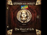 Stephen Ragga Marley - Father Of Man (ft. Wyclef)