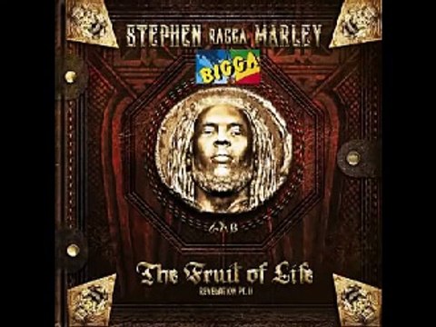 Stephen Ragga Marley - Father Of Man (ft. Wyclef)