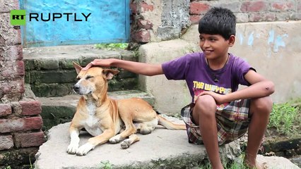 طفل متعود على أن يرضع الحليب من الكلاب