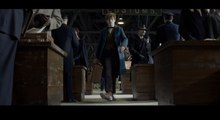 Les Animaux Fantastiques - Bande Annonce Officielle Comic-Con - VOST