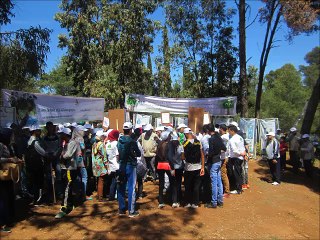 Atelier associatif pour la protection des forêts de Fès