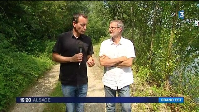 Eté dans l'EST-France3 / la Gravière du Fort - Holtzheim
