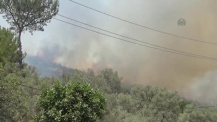Bodrum'daki Orman Yangını Kontrol Altına Alındı