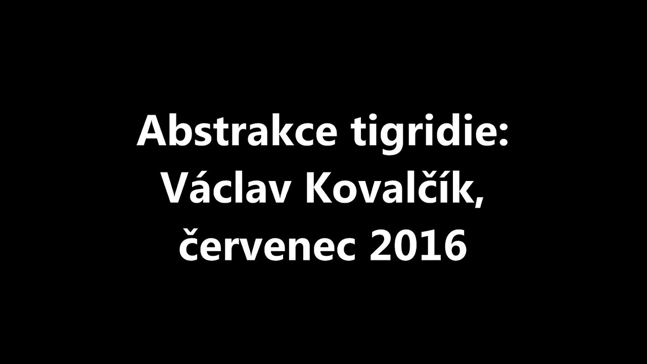 Abstrakce tigridie: Václav Kovalčík, červenec 2016