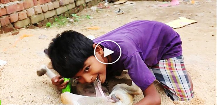 köpek sütü içen çocuk #köpek #süt #çocuk