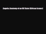 Read hereAngola: Anatomy of an Oil State (African Issues)