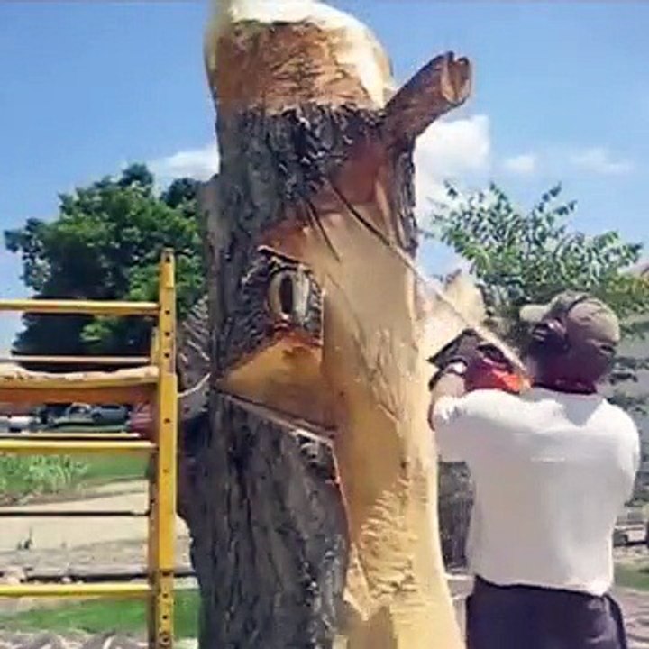 amazing art of tree