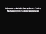 Enjoyed read Adjusting to Volatile Energy Prices (Policy Analyses in International Economics)