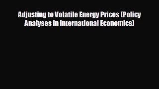 Enjoyed read Adjusting to Volatile Energy Prices (Policy Analyses in International Economics)