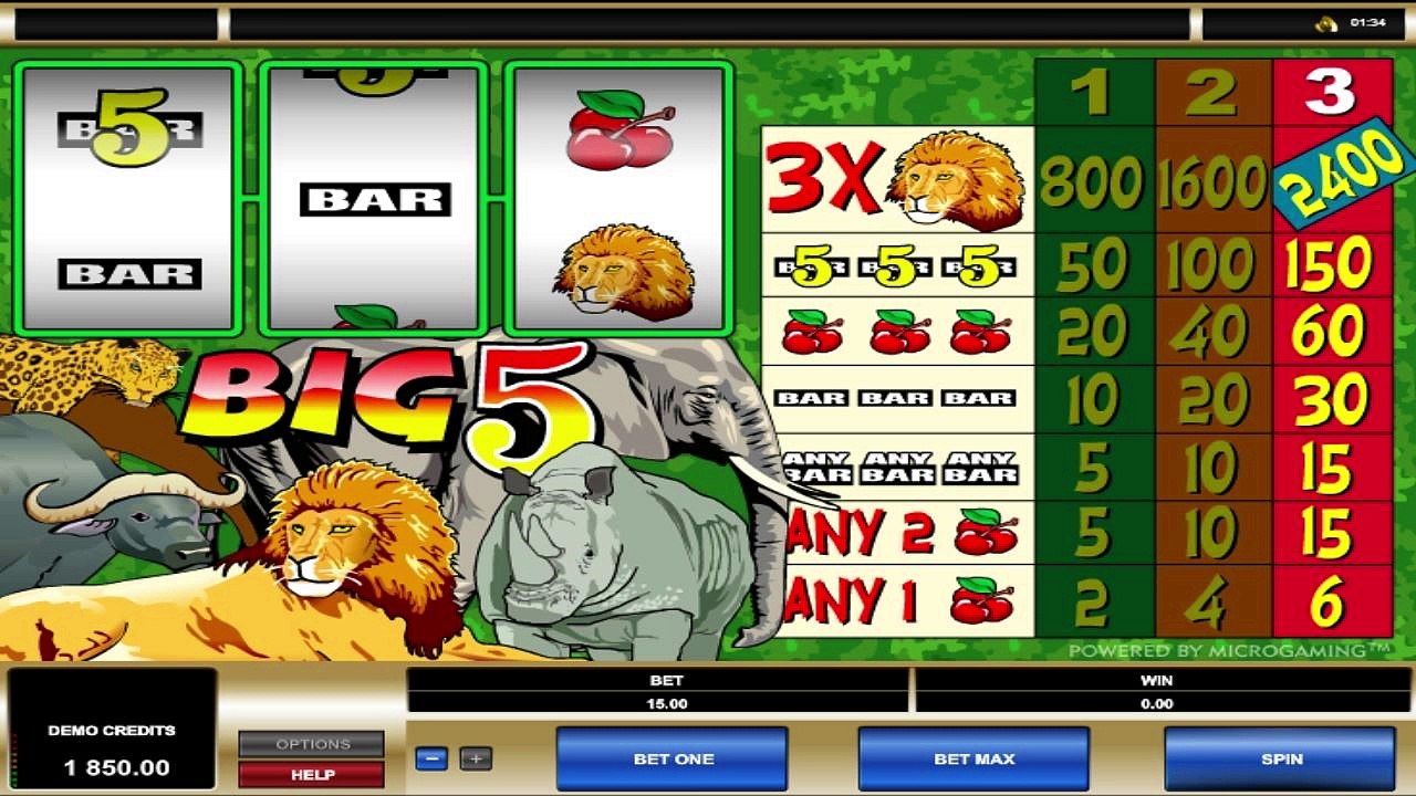 big-5-microgaming-hexcasino
