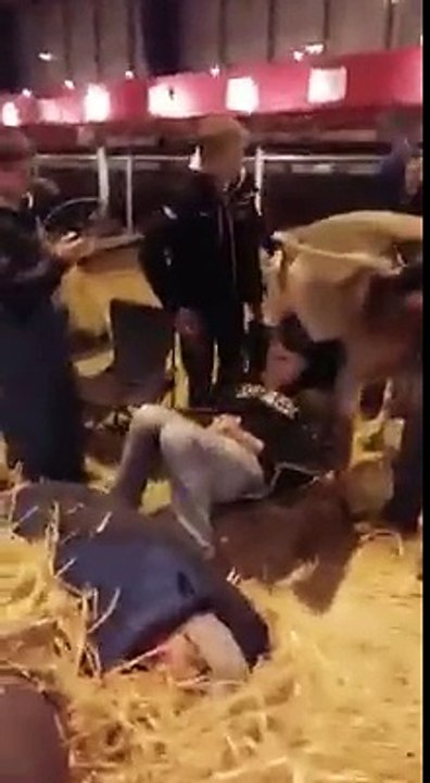 Ses potes le réveillent en faisant chier une vache sur sa tête - Réveil de merde !