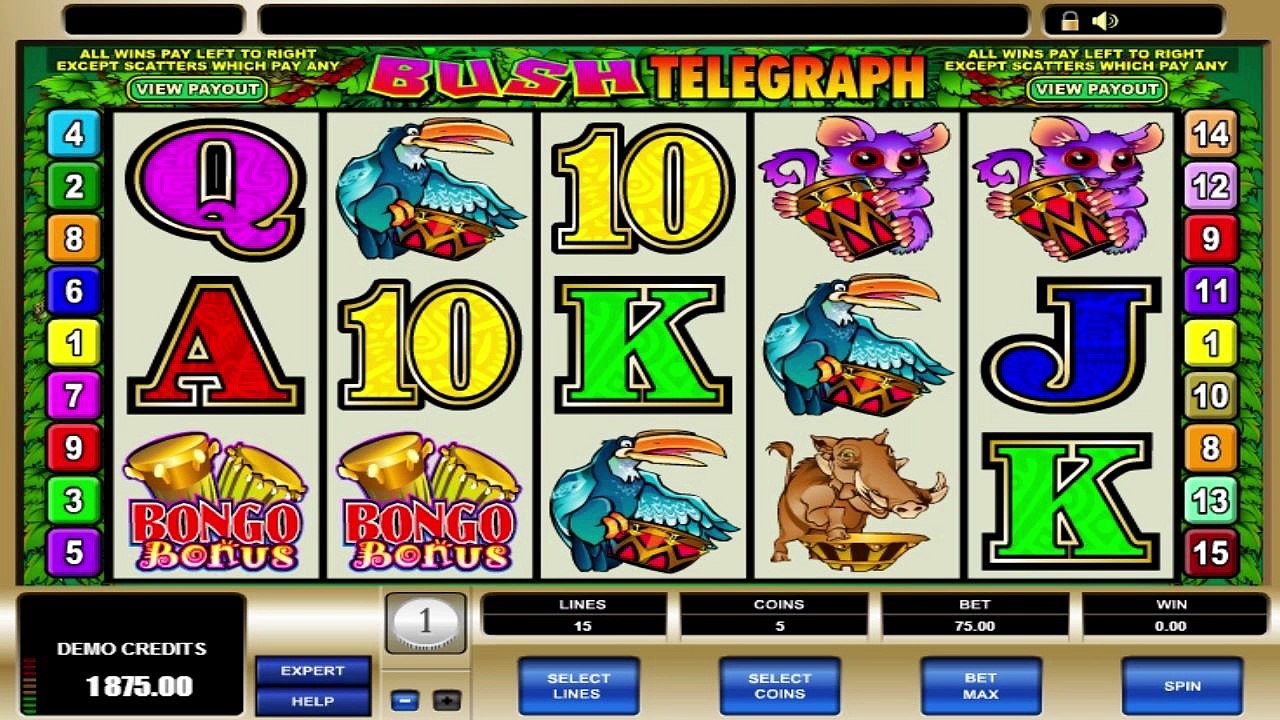 bush-telegraph-microgaming-hexcasino