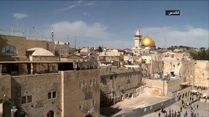 فلسطين تحت المجهر - سجل أنا عربي