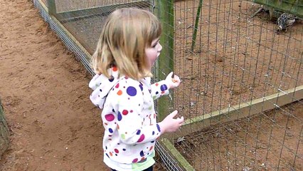 Woman Farts at the Wildlife park