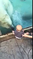 Niño se asustó al ver un Oso polar en un zoológico