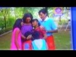 Mara sajanji - Gujarati tv series