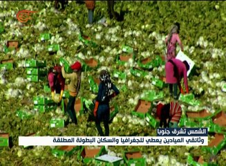 الشمس تشرق جنوباً.. وثائقي عبر الميادين