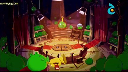 Angry Birds ep6