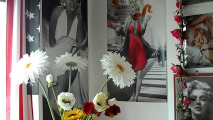 michel sardou  j ' habite en france !!..