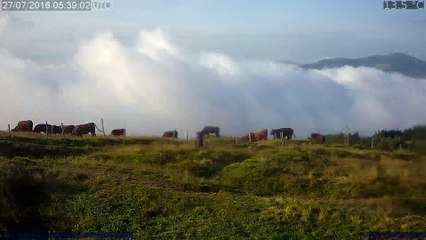 Vidéo timelapse du Mercredi 27/07/2016 à 23:58