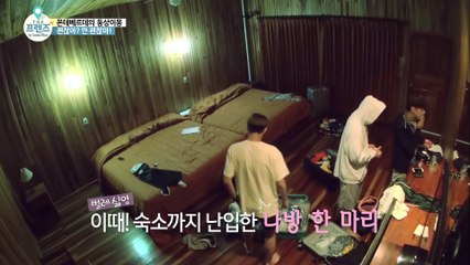 "벌레는 이렇게 잡아줘야 제맛! 피곤해 도른자들의 각양각색 취침준비!!"  [더 프렌즈 in 코스타리카 The Friends in Costa Rica] 3회