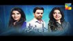 Dil E Beqarar Episode 16 Promo HD HUM TV Drama 27 July 2016