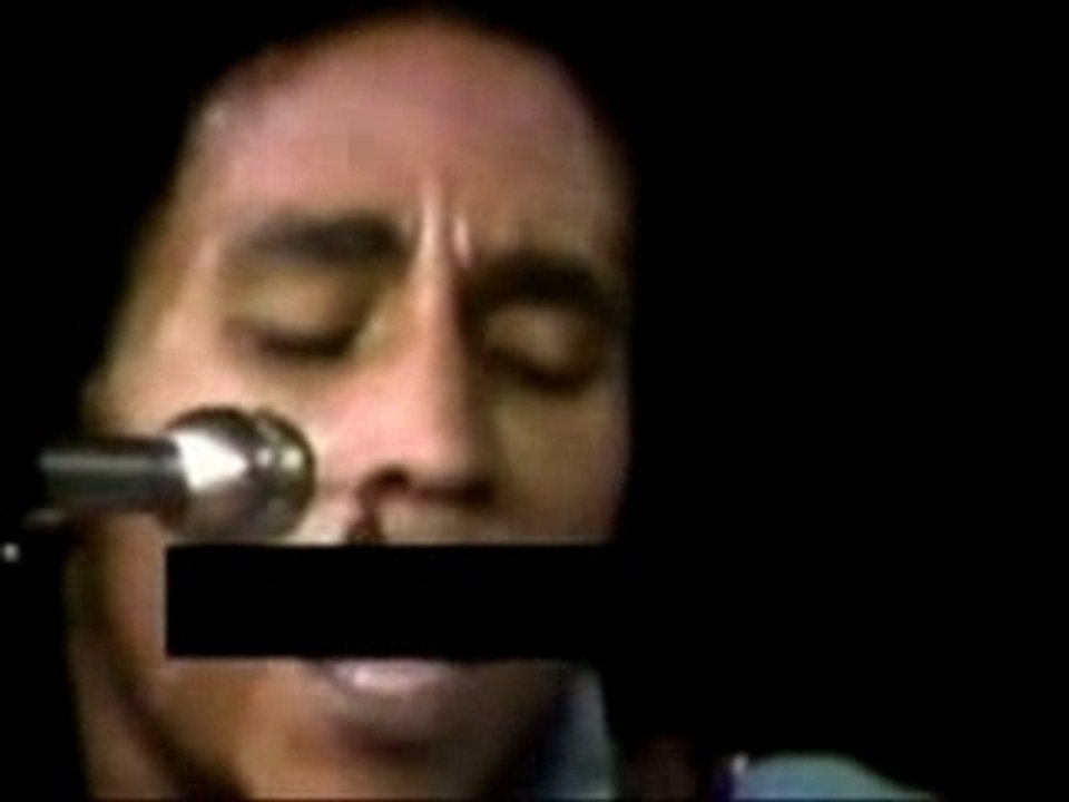 Bob marley the wailers put it on