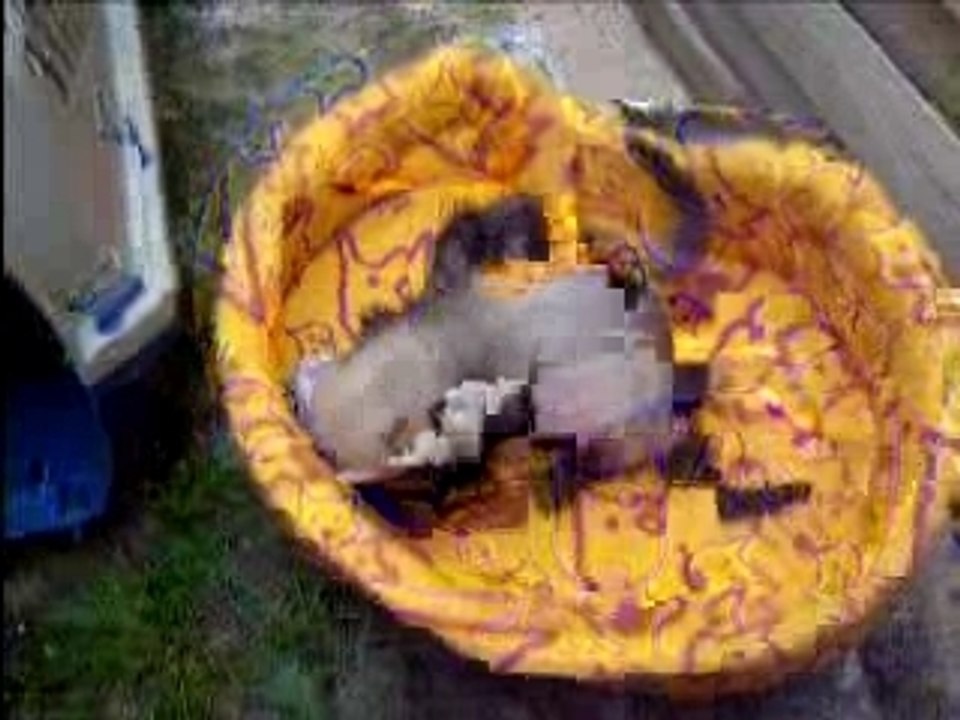 Fureton jeux 22-07