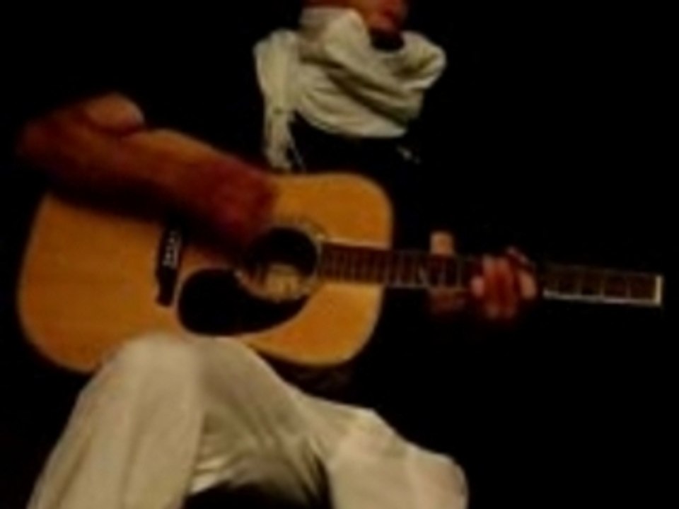 Harmonica Guitare