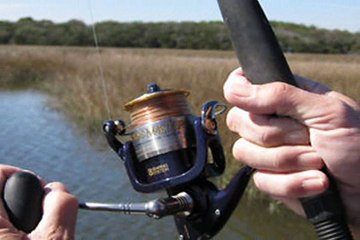 Spinning Reel Reviews-How to Select the Best One
