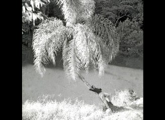 2013 – Karina Zen – E.N.