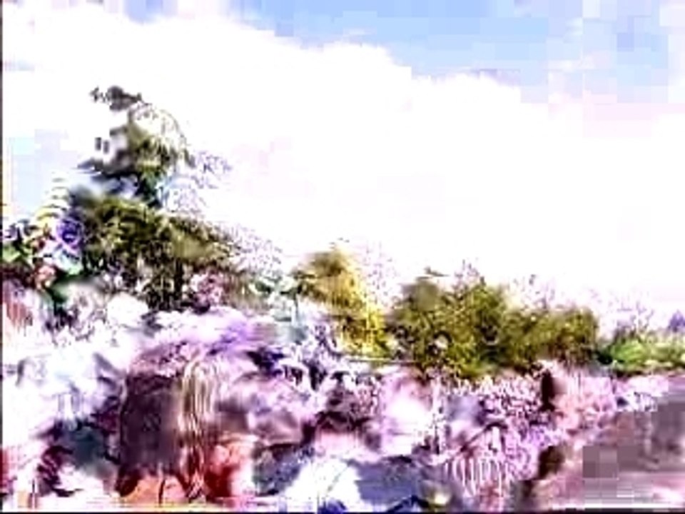 Parade(3)_Disneyland Paris
