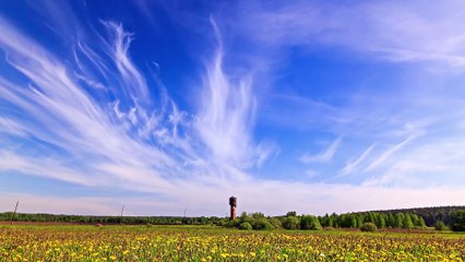 Celebrating Life: Make Music Day