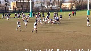 Tigers U19 17 Blues U19 5