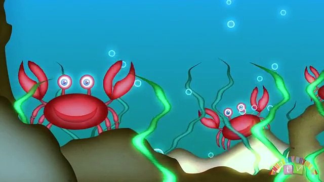 ANIMALS IN THE OCEAN - Nursery Rhymes TV. Toddler Kindergarten Preschool Baby Songs.
