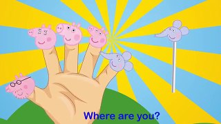 Peppa Pig Lollipop Finger Family Song - Nursery Rhymes For Kids