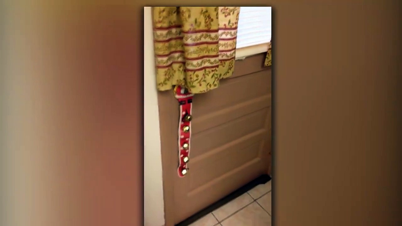 Funny Squirrel Makes A Fine Neighbor