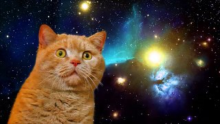 CATS FROM OUTER SPACE