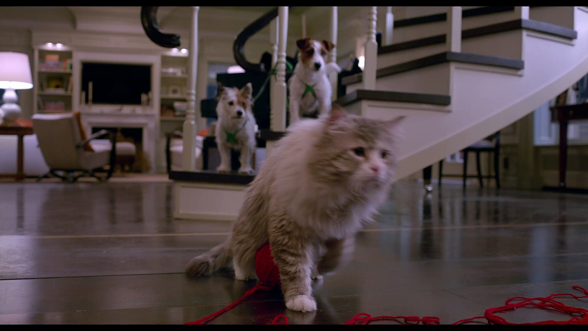 Ma Vie De Chat Extrait Vilain Matou Vf Jennifer Garner Video Dailymotion