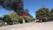 Gaziantep'te Ormanlık Alandaki Restoranda Korkutan Yangın