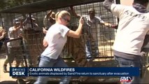 California: exotic animals displaced by Sand Fire return to sanctuary after evacuation