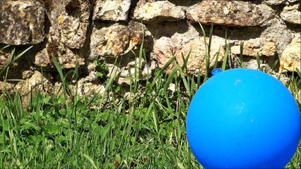 Bizi x Loko - Lit [Prod A.Loko] | CLIP